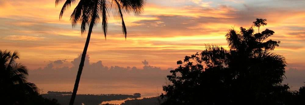 edifactory – fill up, pour out