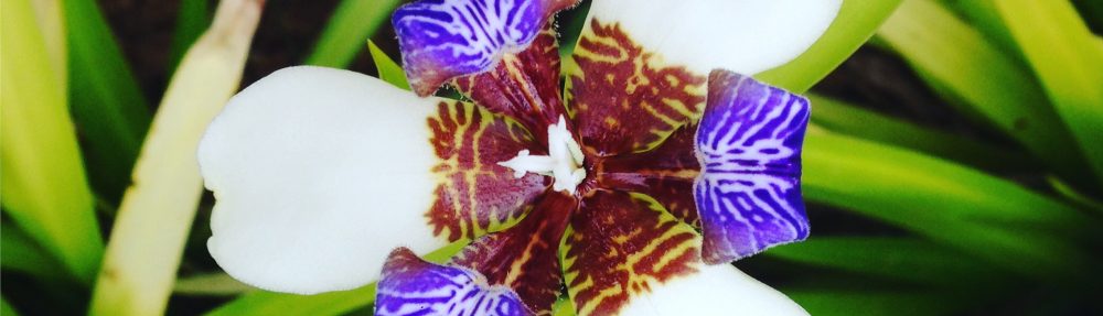 edifactory – fill up, pour out