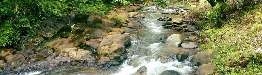 edifactory – fill up, pour out