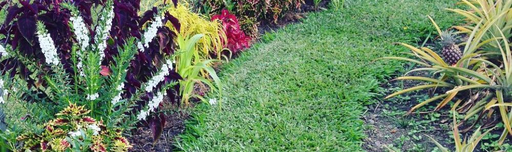 edifactory – fill up, pour out