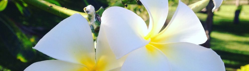 edifactory – fill up, pour out