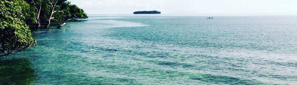 edifactory – fill up, pour out