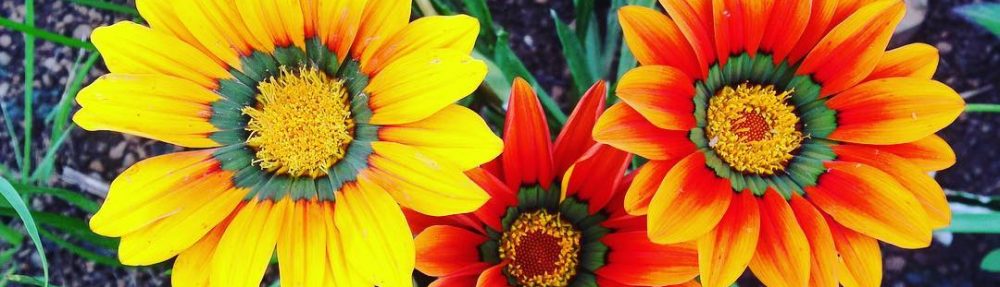 edifactory – fill up, pour out