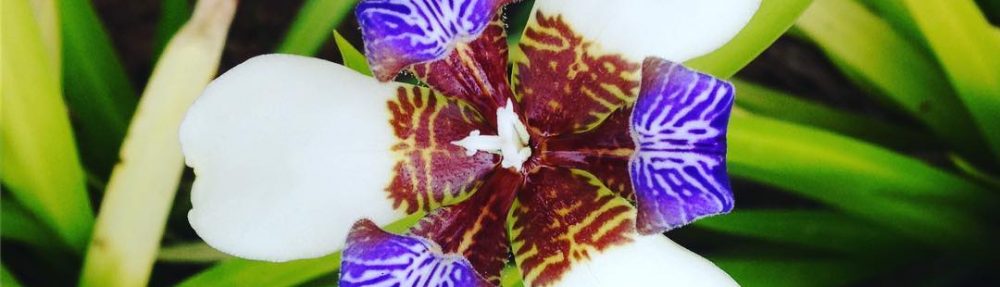 edifactory – fill up, pour out