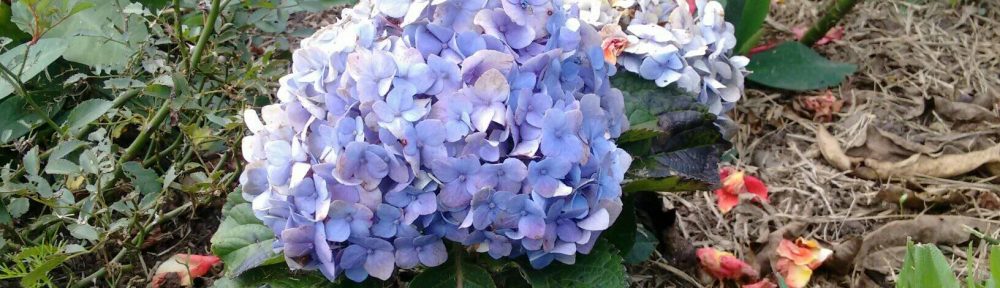 edifactory – fill up, pour out