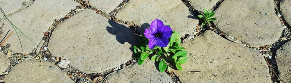 edifactory – fill up, pour out