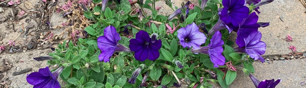 edifactory – fill up, pour out