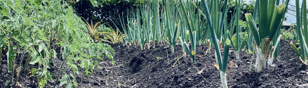 edifactory – fill up, pour out