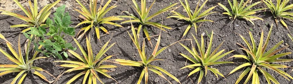 edifactory – fill up, pour out