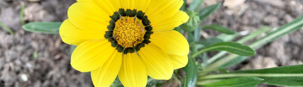 edifactory – fill up, pour out