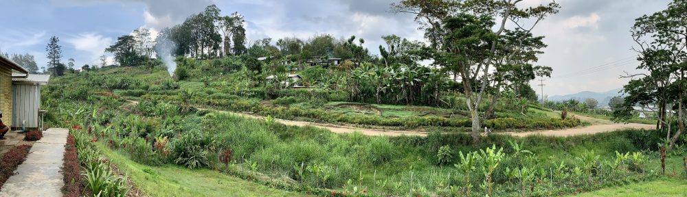 edifactory – fill up, pour out