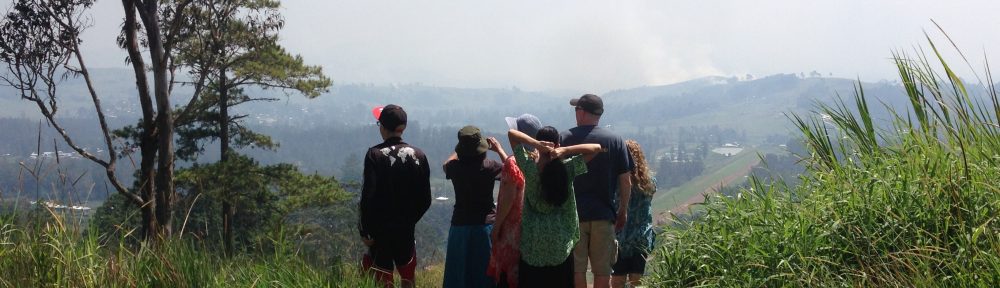 edifactory – fill up, pour out