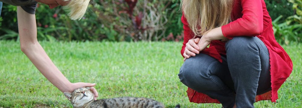 edifactory – fill up, pour out